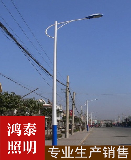 8米市政海螺臂路灯